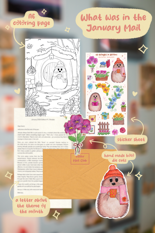 Mishu Mail Club 💌 – Monthly Snail Mail & Stationery Subscription