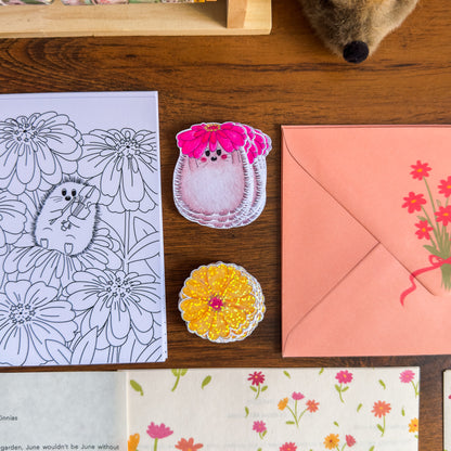 Coloring page, hedgehog holding a zinnia sticker, yellow zinnia (laminated) sticker and a pink envelope on a wooden surface